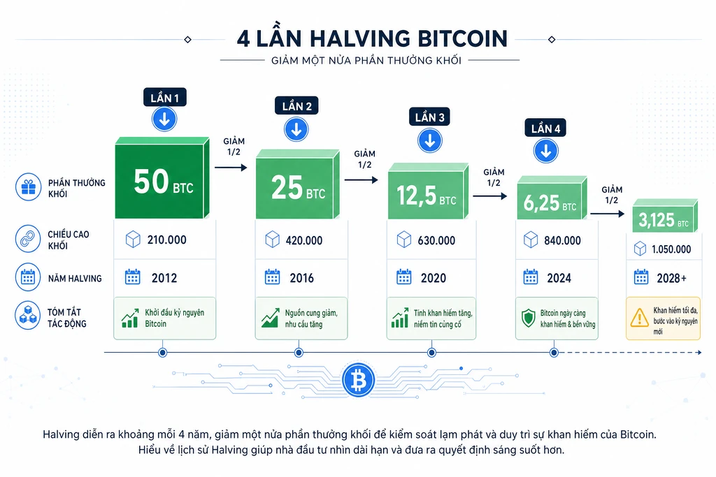 Infographic lịch sử 4 lần halving Bitcoin từ 2012 đến 2024 với bốn cột bậc thang giảm nửa phần thưởng khối 50, 25, 12,5, 6,25 và 3,125 BTC