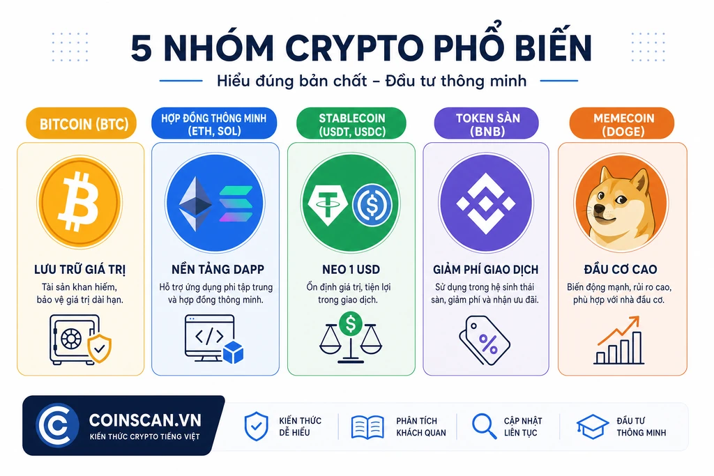 Infographic phân loại năm nhóm crypto phổ biến: Bitcoin lưu trữ giá trị, hợp đồng thông minh ETH SOL, stablecoin USDT USDC, token sàn BNB và memecoin DOGE
