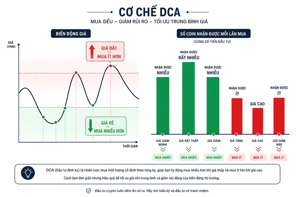 Infographic cơ chế DCA mua nhiều đơn vị coin hơn khi giá thấp và ít hơn khi giá cao để giảm giá vốn trung bình