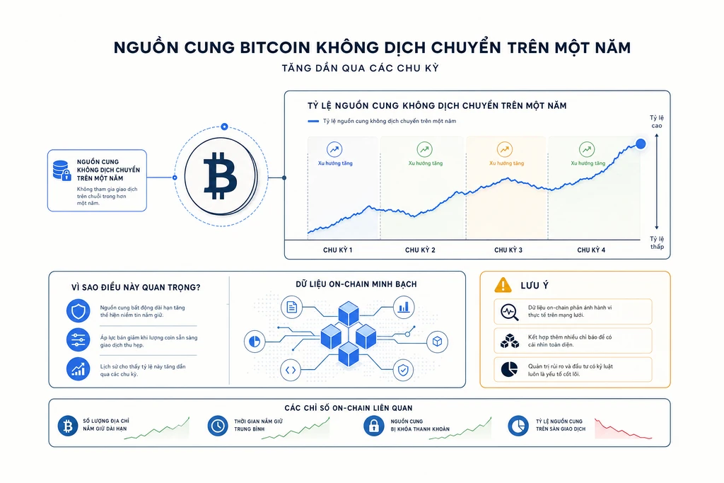 Biểu đồ dữ liệu on-chain cho thấy tỉ lệ nguồn cung Bitcoin không dịch chuyển trên một năm tăng dần qua các chu kỳ