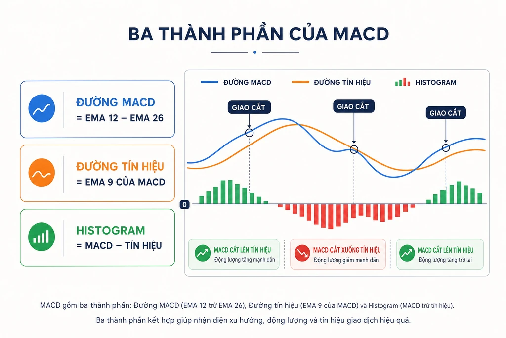 Infographic tiếng Việt về ba thành phần MACD: công thức đường MACD, đường tín hiệu, histogram cùng sơ đồ minh hoạ hai đường đan chéo và dãy cột quanh trục 0