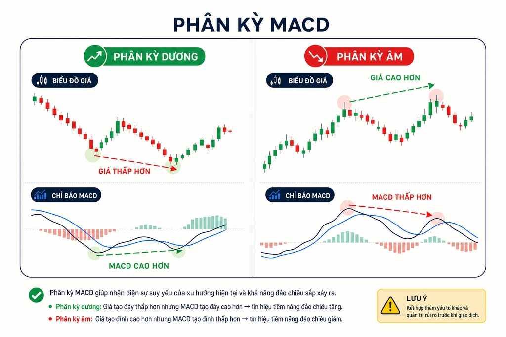 Sơ đồ phân kỳ MACD chia hai panel: phân kỳ dương với giá tạo đáy thấp hơn nhưng MACD tạo đáy cao hơn, phân kỳ âm với giá tạo đỉnh cao hơn nhưng MACD tạo đỉnh thấp hơn