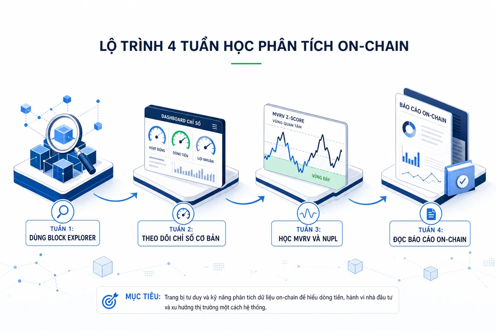 Sơ đồ lộ trình bốn tuần học phân tích on-chain cho người mới từ block explorer, chỉ số cơ bản, MVRV đến đọc báo cáo