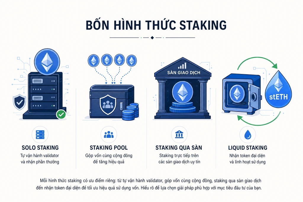 Infographic bốn hình thức staking crypto phổ biến: solo staking, staking pool, staking qua sàn tập trung và liquid staking với token đại diện